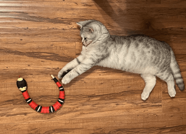 Serpent à détection intelligente - Maman&Bébé - Boutique Mahunart